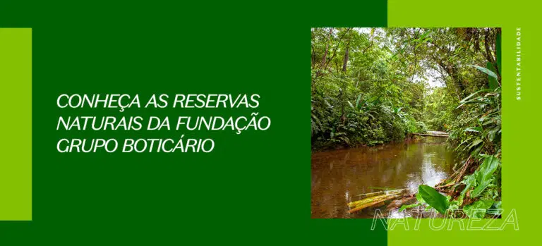 Conheça as reservas Naturais da Fundação Grupo Boticário