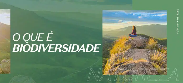 Biodiversidade: a natureza em todo lugar