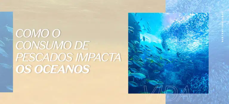 Como o consumo de pescados impacta a saúde do oceano