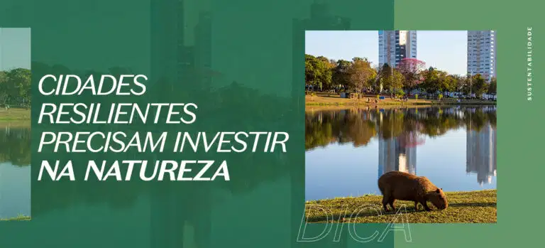 Cidades resilientes precisam investir na natureza