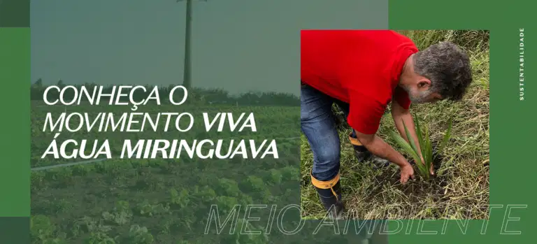 Solução baseada na natureza – nós temos!