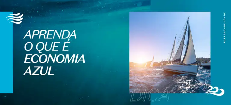 Imagem de barco no oceano. Saiba o que é e qual a importância da economia azul