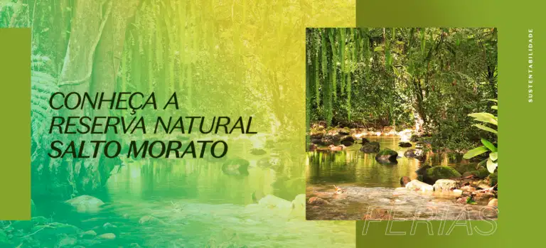 Conheça a Reserva Natural Salto Morato