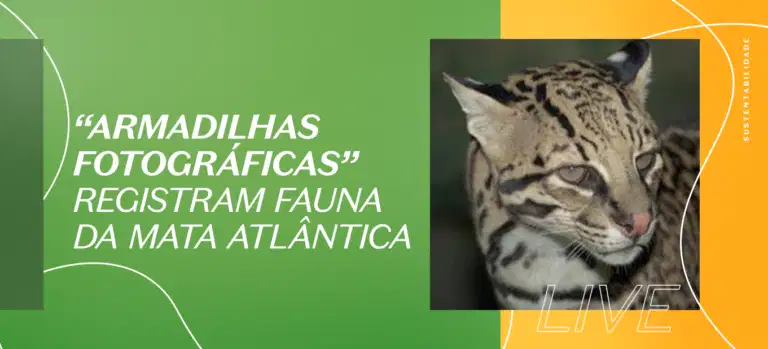 "Armadilhas fotográficas" registram fauna da mata atlântica