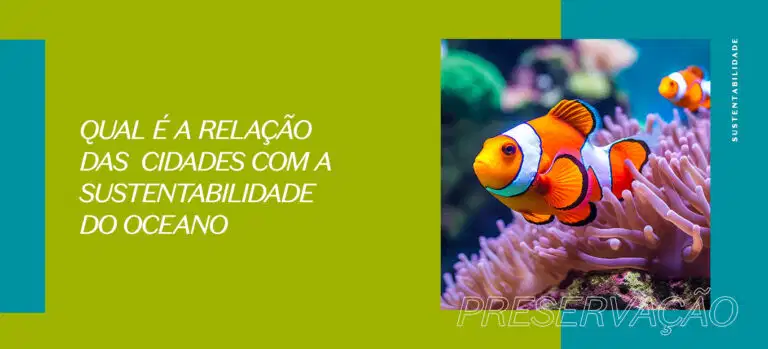 Qual é a relação das cidades com a sustentabilidade do oceano