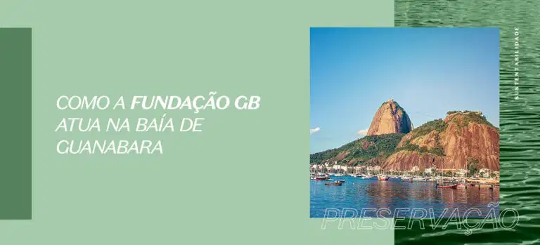 Como a fundação GB atua na Baía do Guanabara