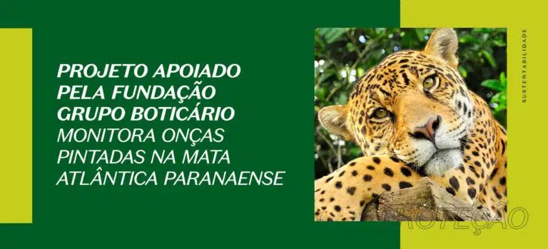 Monitoramento de onças-pintadas na mata atlântica