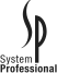 SP System Professional
