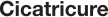 Cicatricure