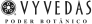 Vyvedas