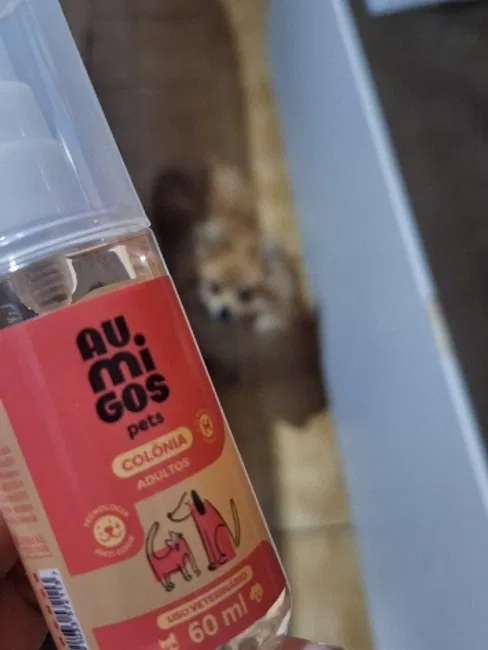imagem da avaliação