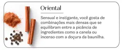 A imagem mostra uma composição de ingredientes e especiarias típicos do olfativo oriental, como pimenta-do-reino, canela e incenso. O texto descreve esse estilo como "sensual e instigante", com combinações densas de ingredientes que se equilibram entre a picância da canela e a doçura da baunilha.