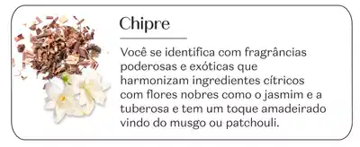 A imagem mostra uma composição de ingredientes naturais, incluindo flores brancas, pedaços de madeira e folhas secas. O texto acima descreve as fragrâncias poderosas e exóticas desses ingredientes, que harmonizam notas cítricas com flores nobres como jasmim e tuberosa, além de um toque amadeirado de musgo ou patchouli.