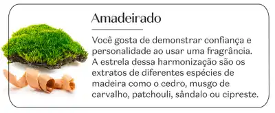 Amadeirado. Você gosta de demonstrar confiança e personalidade ao usar uma fragrância. A estrela dessa harmonização são os extratos de diferentes espécies de madeira como o cedro, musgo de carvalho, patchouli, sândalo ou cipreste.