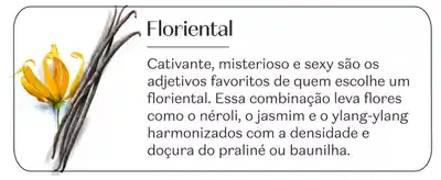 Imagem de um arranjo floral composto por uma flor amarela e hastes de baunilha. O texto "Floriental" descreve essa combinação de flores e especiarias como cativante, misteriosa e sexy.