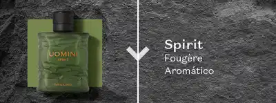 A imagem mostra um frasco de fragrância masculina Uomini Spirit ao lado do olfativo Fougère Aromático.