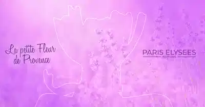 Banner publicitário de perfume com frasco rosa e flor roxa, marca Paris Elysees, slogan "La petite Fleur de Provence".