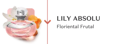 O banner mostra um frasco de Lily Absolu da família olfativa Floriental Frutal, com flores e frutas ao redor.