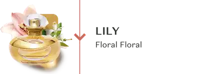 O banner mostra um frasco de Lily da família olfativa Floral Floral, com flores de Lírio ao redor.