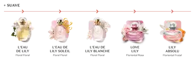 Imagem de cinco itens de perfumaria da marca Lily de diversas linhas com régua olfativa entre eles.