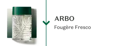 Frasco de Arbo, sobre fundo branco, comunicando sua família olfativa Fougère Fresco.