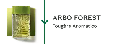 Frasco de Arbo Forest, sobre fundo branco, comunicando sua família olfativa Fougère Aromático.