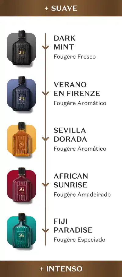 Seis vidros de desodorantes colônias masculinas da marca Botika 214 e, ao lado, a régua olfativa entre eles.