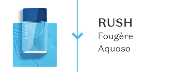 Um frasco de Quasar Rush, comunicando sua família olfativa Fougère Aquoso.