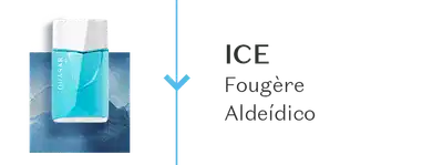 Um frasco de Quasar Ice, comunicando sua família olfativa Fougère Aldeídico.