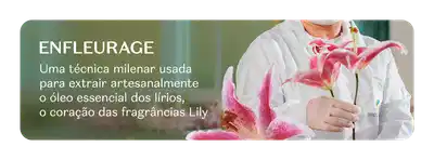 Imagem de uma flor de lírio rosa e uma pessoa em um jaleco branco segurando uma flor, comunicando a técnica chamada Enfleurage, usada para extrair o óleo essencial de lírios.