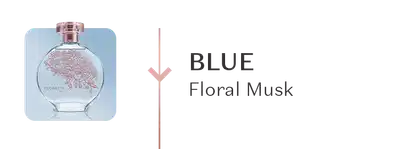 Frasco de fragrância elegante com ilustração floral e texto "BLUE Floral Musk".
