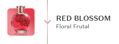 Frasco de fragrância elegante com ilustrações florais em fundo vermelho e preto. Texto "Red Blossom Floral Frutal".