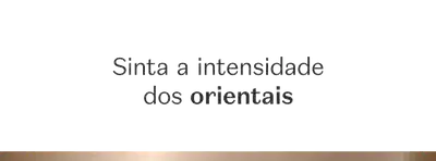 Banner horizontal de cor cinza com pequena faixa dourada na parte inferior e o texto centralizado que diz: "Sinta a intensidade dos orientais"