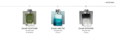 Três fragrâncias Eau de Parfum da linha Zaad apresentadas em sequência: Zaad Venture com frasco verde, notas Amadeirado e Aromático; Zaad Arctic com frasco azul turquesa degradê, notas Amadeirado e Cítrico; Zaad Intense com frasco preto e branco, notas Amadeirado e Fresco. Cada frasco possui tampa prateada e está posicionado sobre fundo colorido correspondente.