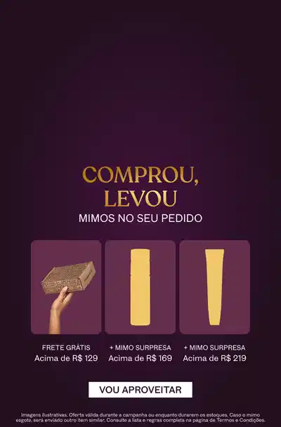 Banner com texto dourado COMPROU, LEVOU seguido de frete acima de R$129 + mimo surpresa acima de R$169 + mimo acima de R$219