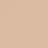 Dior Diorskin Forever Undercover 020 Light Beige - Corretivo Líquido 6ml