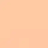 Shiseido Sun Care Sun Protection Stick Foundation FPS 36 Fair Ivory - Base em Bastão 9g