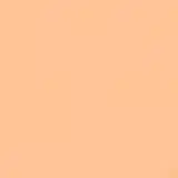 Shiseido Sun Care Sun Protection Stick Foundation FPS 36 Fair Ochre - Base em Bastão 9g