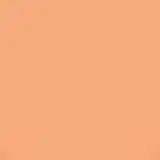 Shiseido Sun Care Sun Protection Stick Foundation FPS 36 Ochre - Base em Bastão 9g