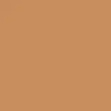Clinique Even Better All Over WN 100 Deep Honey - Corretivo Líquido 6ml