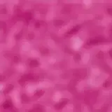 Mari Maria Makeup Jelly Fucsia - Sombra 4g