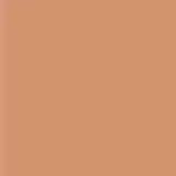 Dermage Photoage Stick FPS 99 Cor Nude - Protetor Solar com Cor 12g