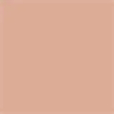 Ana Hickmann Beauty Velvet Skin CP20 - Pó Compacto 8g