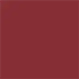 CARE Natural Beauty Powerful Red - Batom 4g