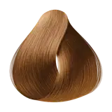 Selective Professional Colorevo 8.43 Louro Claro Acobreado Dourado - Coloração Permanente 60ml