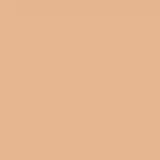 Boca Rosa Stick Pele BR19 - Base Multifuncional 12g