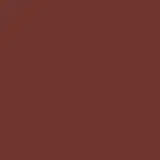 Catrice Plumping Lip Liner 100 Go All-Out - Lápis Labial 0,35g