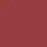 Dior Rouge On Stage Shine 565 Fear Brown - Batom 2,2g