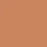 BEYOUNG Color Second Skin 06 - Base 30g
