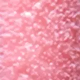 Kakau Lopes Lip Plump Pop Pure - Gloss Labial 4ml